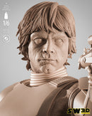 SW3D October 2025 Term Luke Stormtrooper Sculpture