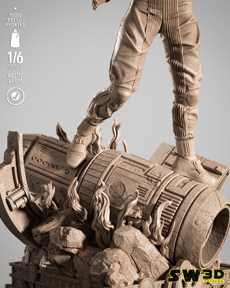 SW3D August 2025 Term Jin Erso Sculpture