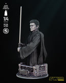 Young Anakin Bust