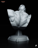 Zangief Resin Statue & Bust - Bust view 4
