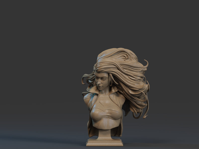 Storm Bust - 1/9 Scale