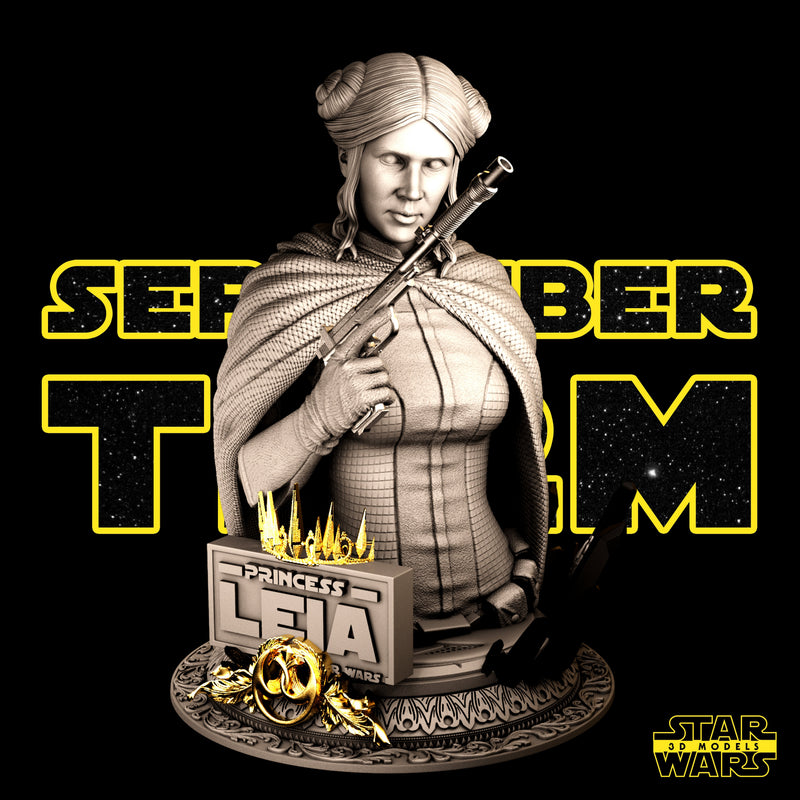 Leia Bust