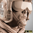 SW3D May 2025 Term Luke Pilot Portrait Bust