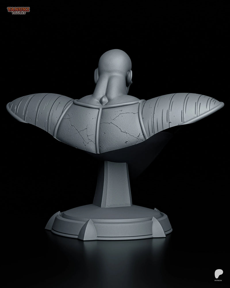 Nappa Resin Statue & Bust - Bust view 4