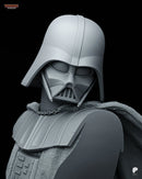 Darth Vader Resin Statue & Bust - Bust view 4