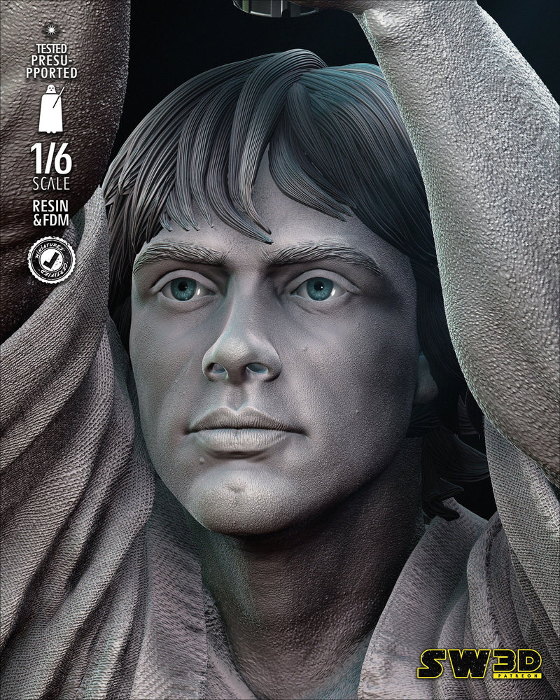 New Hope Luke Skywalker Sculpture