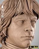 SW3D October 2025 Term Luke Stormtrooper Portrait Bust