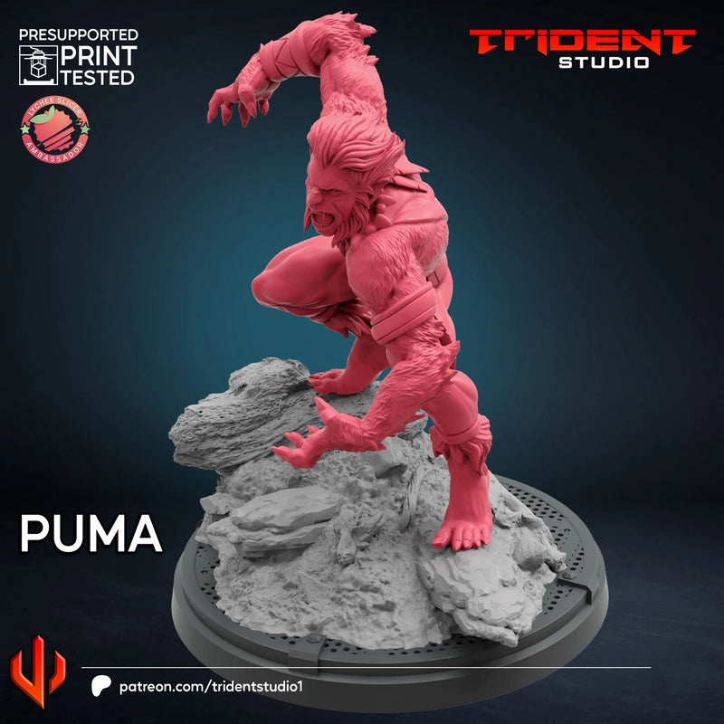 Puma Marvel MCP-compatible 40mm resin proxy miniature by Trident Miniatures - product image 4
