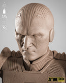 SW3D October 2025 Term Gran Inquisitor Portrait Bust
