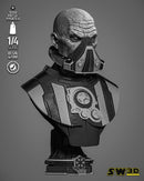 Darth Malgus Portrait Bust