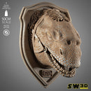 Dewback Wall