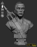 SW3D November 2025 Term Chirrut Imwe Portrait Bust