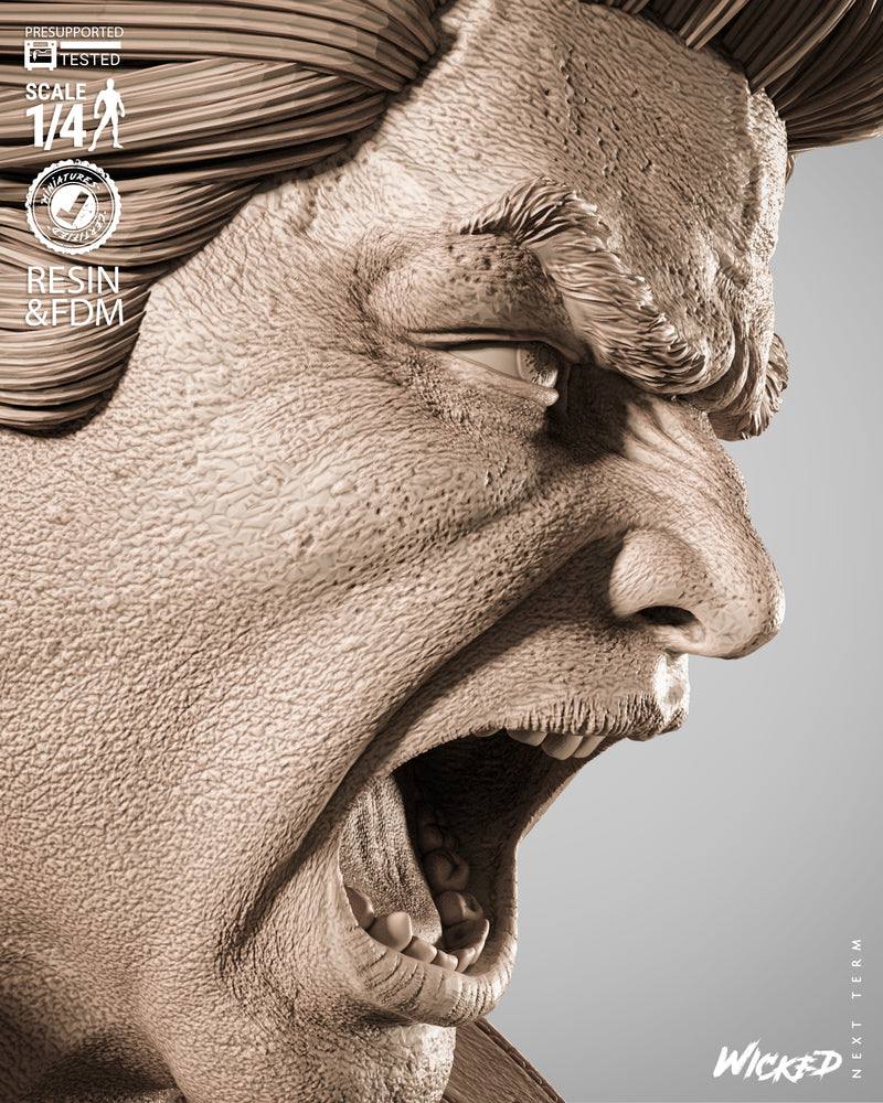 Banshee Portrait Bust resin bust kit view 5
