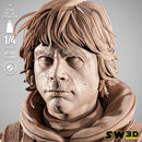 SW3D May 2025 Term Luke Pilot Portrait Bust