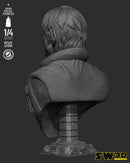 SW3D September 2025 Term Cassian Andor Portrait Bust