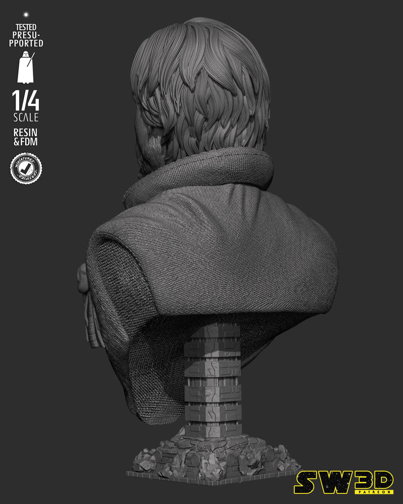 SW3D September 2025 Term Cassian Andor Portrait Bust