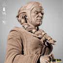 Darth Traya Sculpture