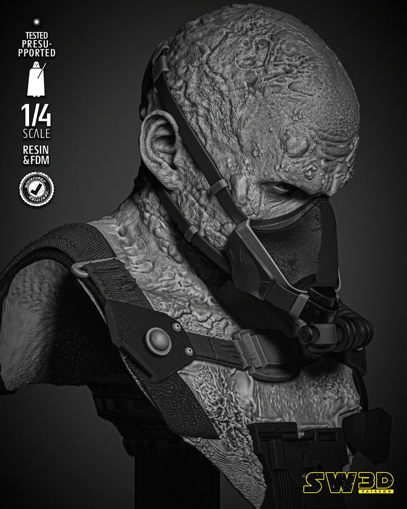 Darth Vader in the Bacta Tank Portrait Bust
