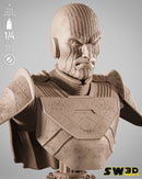 SW3D October 2025 Term Gran Inquisitor Portrait Bust