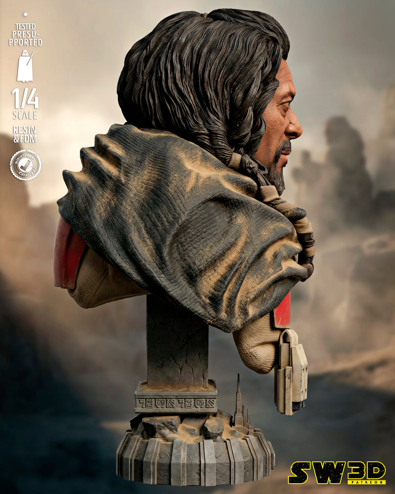 SW3D December 2025 Term Baze Malbus Portrait Bust