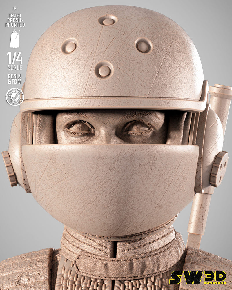 SW3D August 2025 Term Jin Erso Portrait Bust