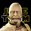 Darth Vader Bust
