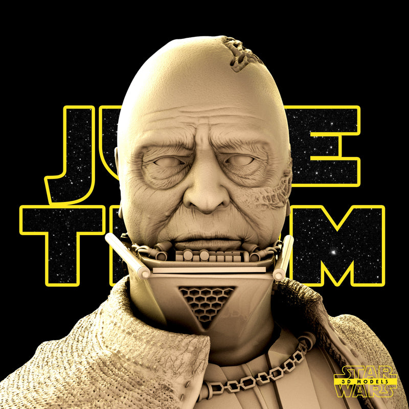Darth Vader Bust