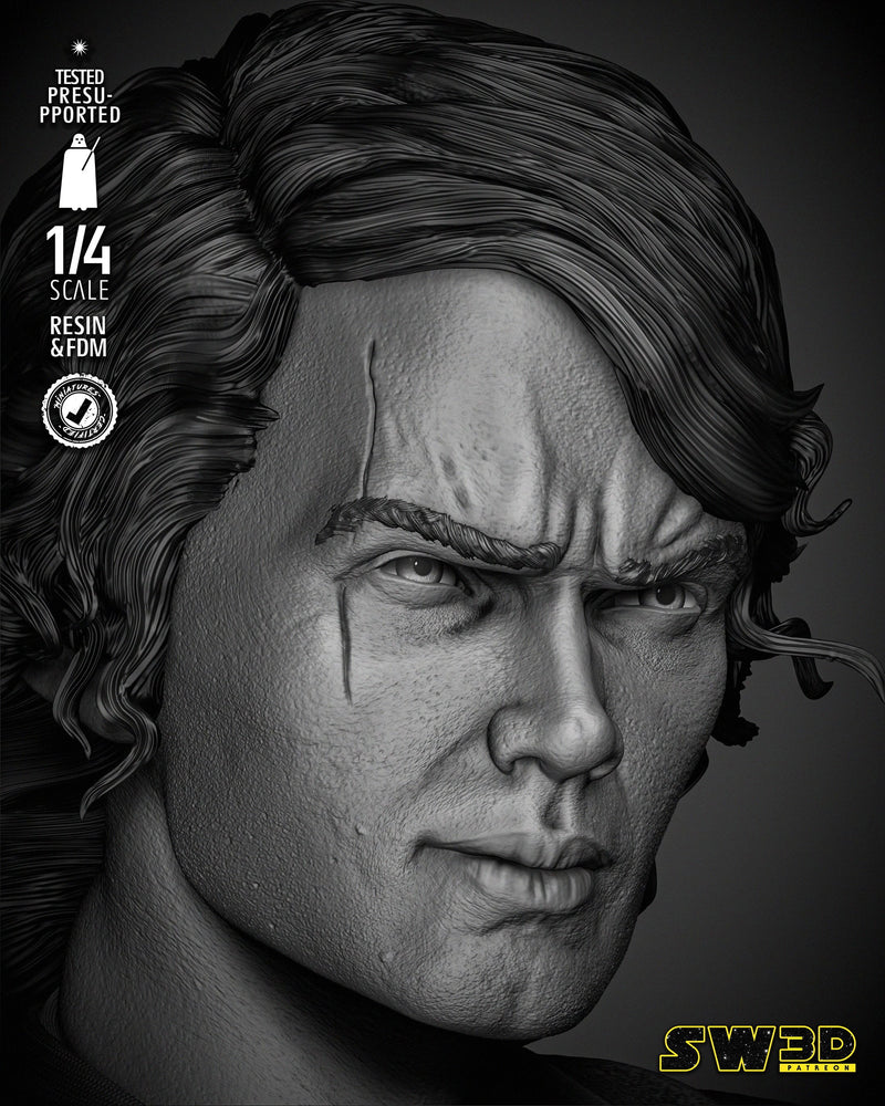 Anakin 2024 Portrait Bust