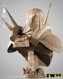 SW3D August 2025 Term Darth Marr Portrait Bust