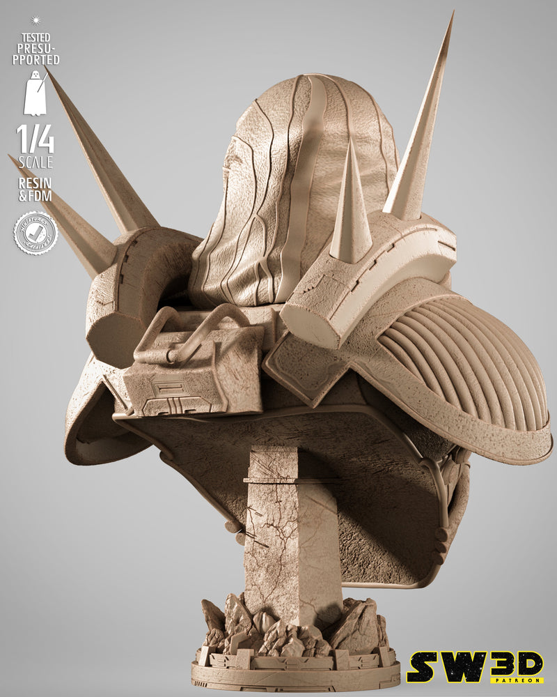 SW3D August 2025 Term Darth Marr Portrait Bust