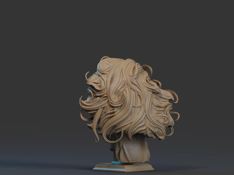Storm Bust - 1/9 Scale