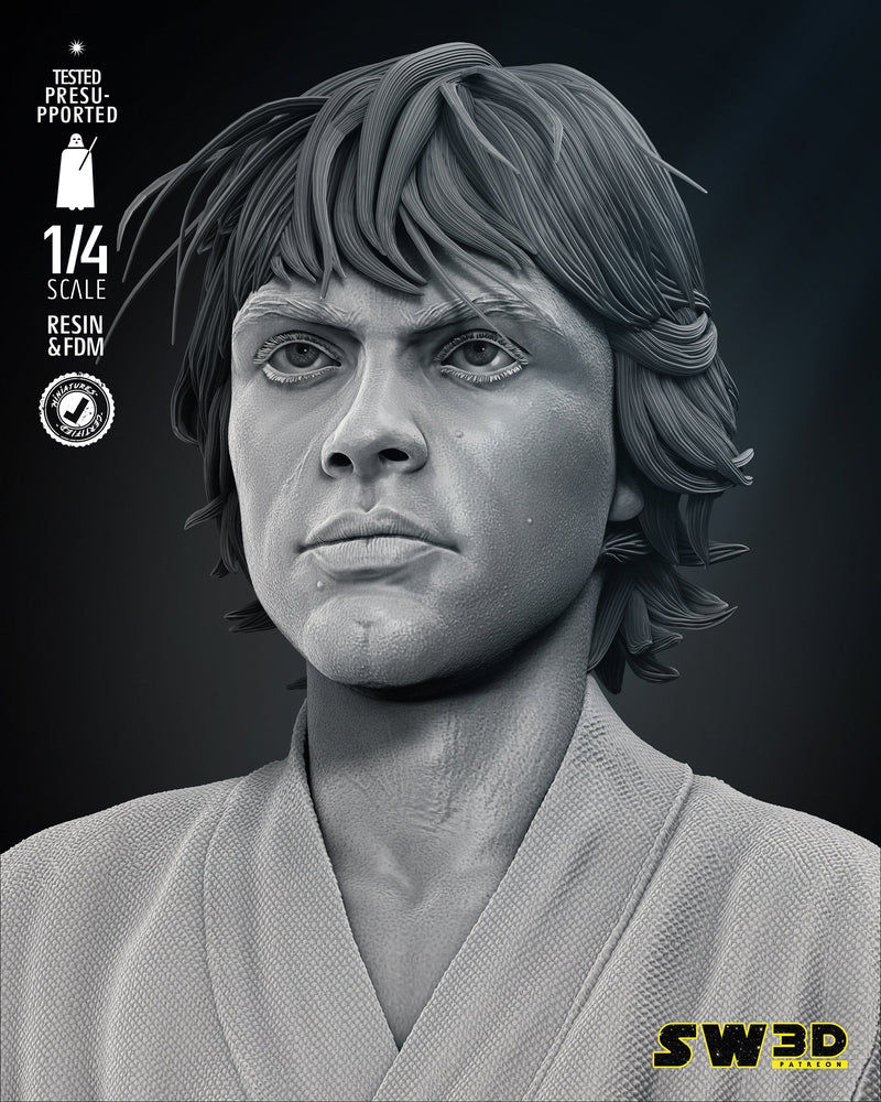 New Hope Luke Skywalker Bust
