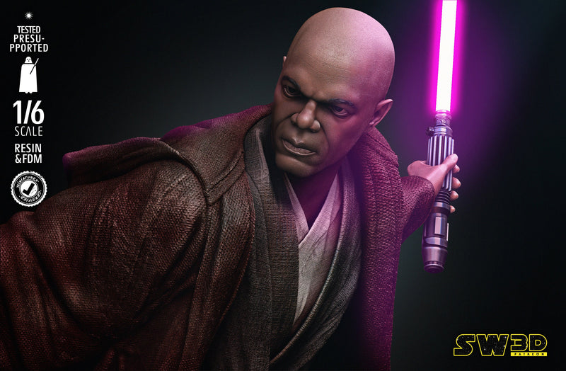 Mace Windu VS Palpatine DIORAMA