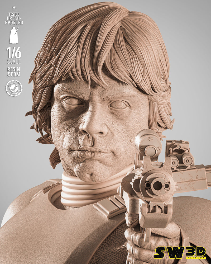 SW3D October 2025 Term Luke Stormtrooper Sculpture