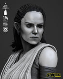 Rey Bust