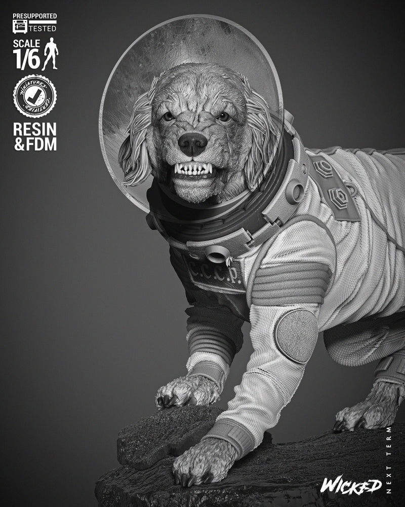 Cosmo Sculpture resin statue kit view 5