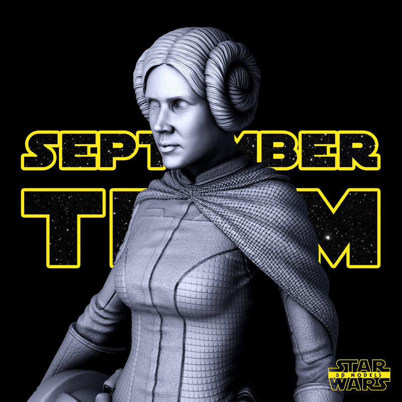 Leia Sculpture