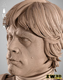 SW3D October 2025 Term Luke Stormtrooper Portrait Bust