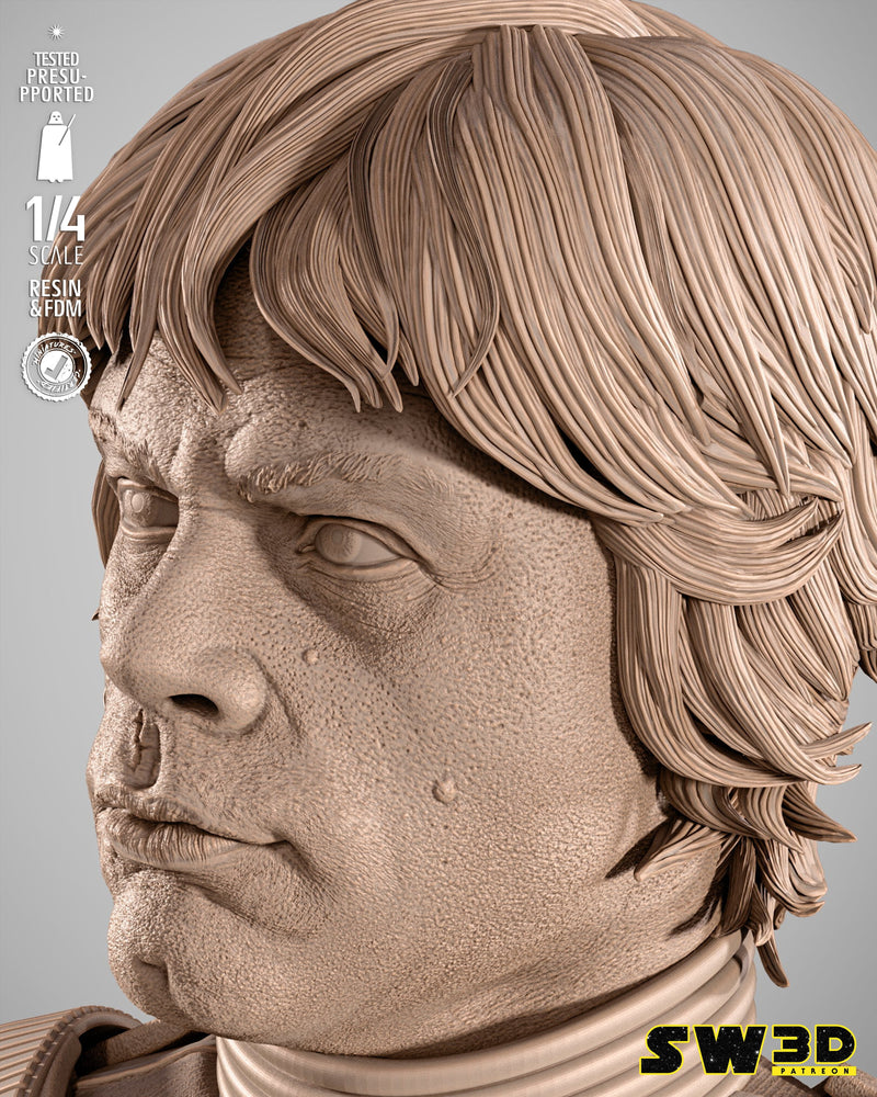 SW3D October 2025 Term Luke Stormtrooper Portrait Bust