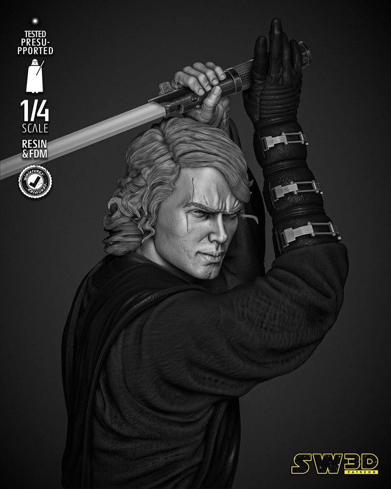 Anakin 2024 Bust