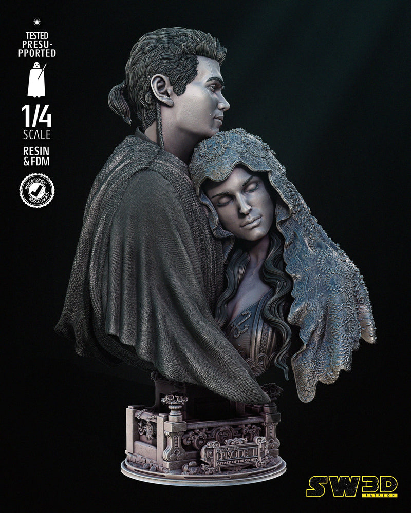 Young Anakin and Padme Bust Portrait
