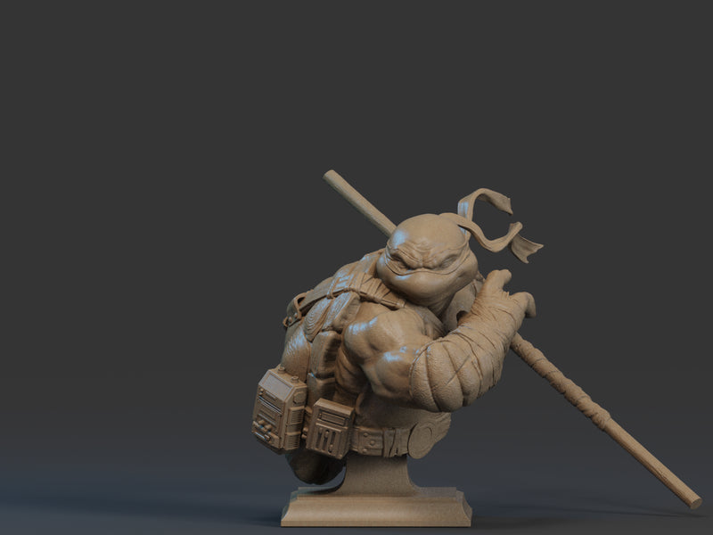 Donatello Bust - 1/9 Scale