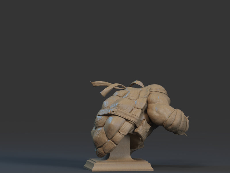 Raphael Bust - 1/9 Scale
