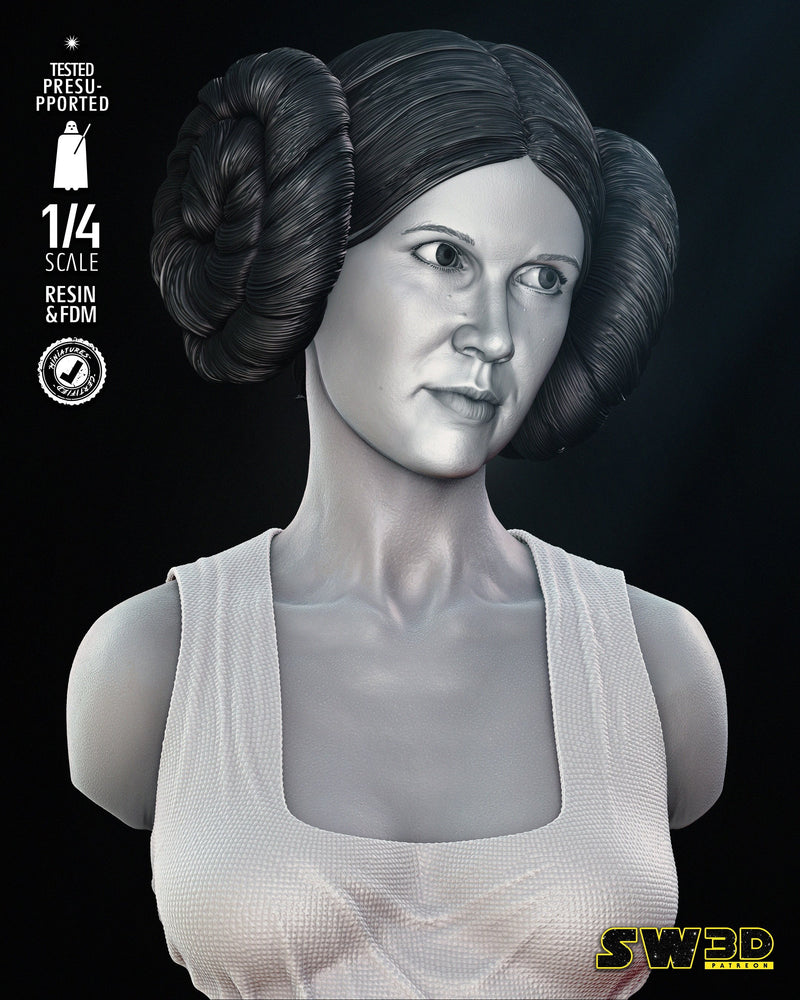 New Hope Leia Bust