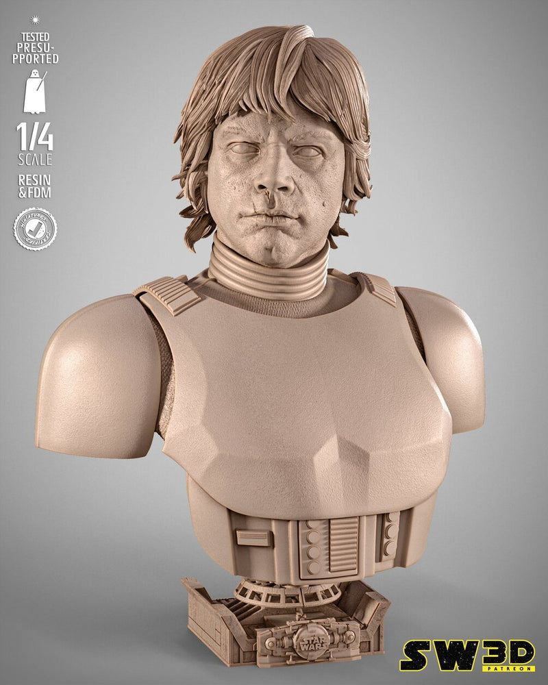 SW3D October 2025 Term Luke Stormtrooper Portrait Bust