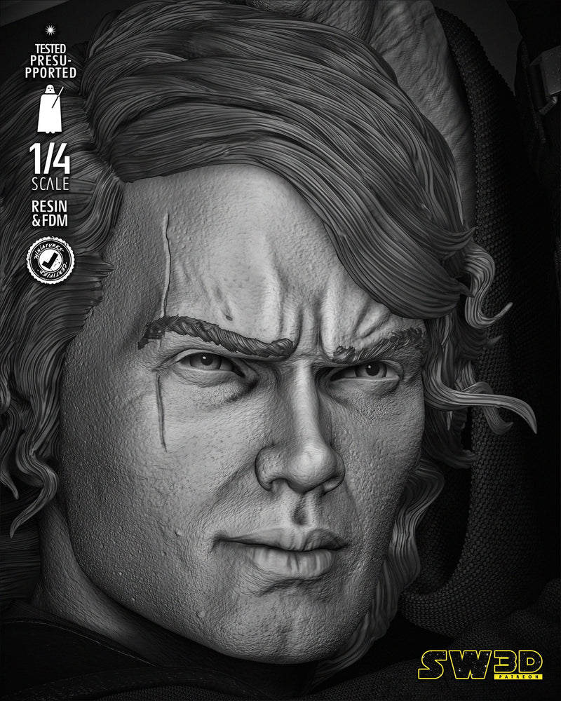 Anakin 2024 Bust