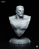 Colossus Resin Statue & Bust - Bust view 6
