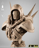 SW3D August 2025 Term Darth Marr Portrait Bust