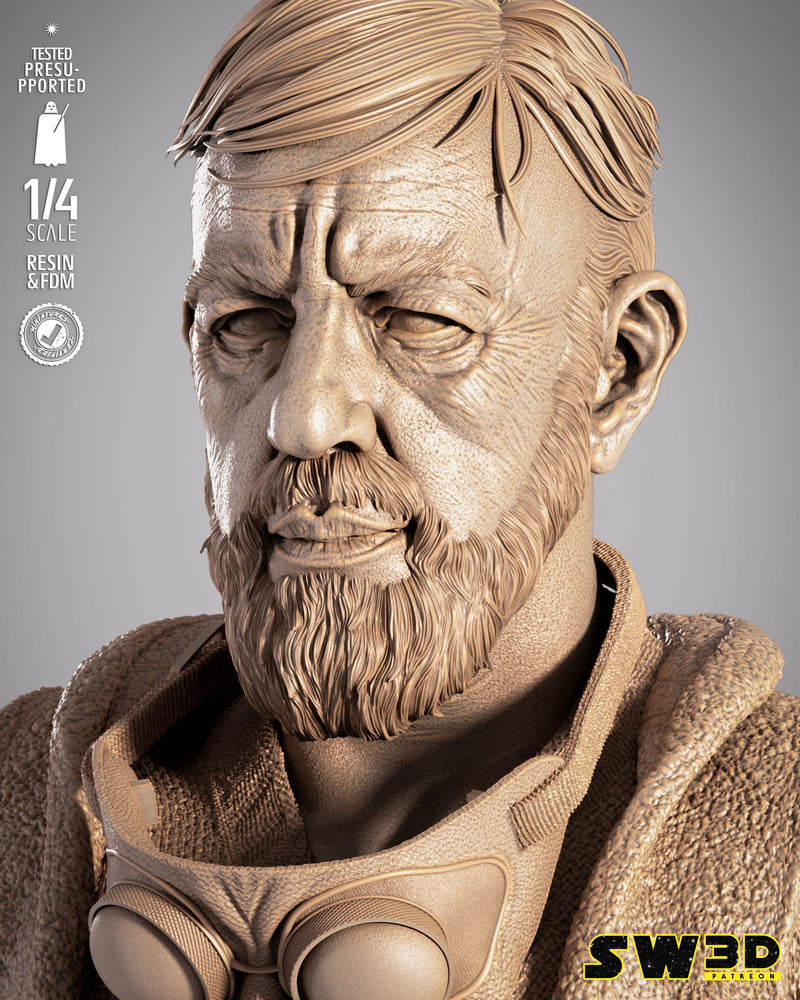 SW3D July 2025 Term Old Ben Kenobi Portrait Bust