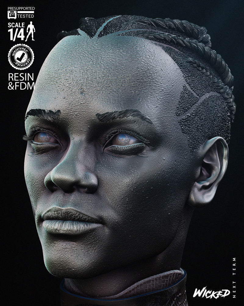 Black Panther 2024 Portrait Bust resin bust kit view 6
